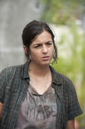 TWD 4x10 Tara