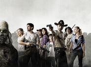 TWD S1 Cast