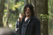 Daryl Dixon 7x15