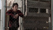 Glenn Rhee 313