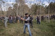 TWD 816 The Militia (4)