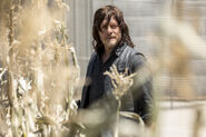 The-walkingd-dead-season-9-daryl-reedus-935