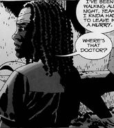 Michonne 33 63