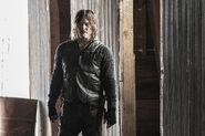 11x21 Daryl