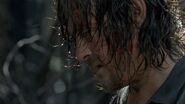 Daryl 606 4