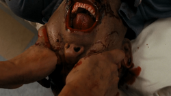 ZombiePeekaboo.png