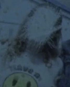 Beta’sBestFriendPhoto