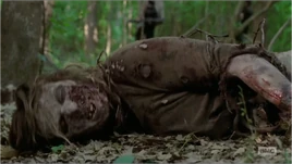 Michonne's Walker