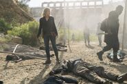 Normal FTWD 311 RF 0509 0963-RT-min