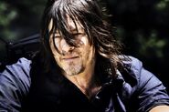 Normal TWD8 CANDID NORMAN 0146 B-RT-min