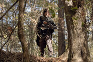 10x15 daryl sniping