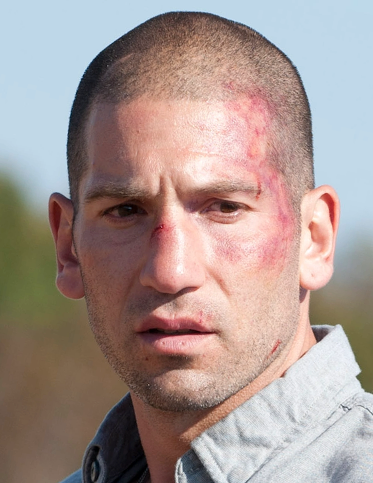 Shane Walsh (TV Series), Walking Dead Wiki