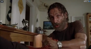 Rick Grimes (80)