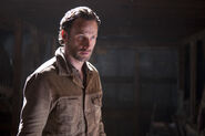 Walking-Dead-313-16