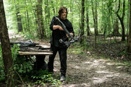 11x10 Daryl