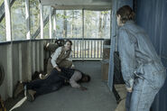 ToTWD 1x03 Ambushed