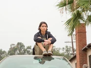 FTWD Cobalt.jpg (108 КБ)