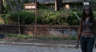 Метка Волков в 