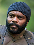 S5 Tyreese Crop