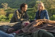 Normal FTWD 306 RF 0309 2768-RT-GN-min