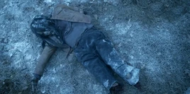 FTWD 8x10 Walker Serena