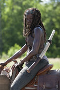 TWD 4x02 Michonne