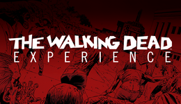 Experience