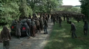 Гигантское стадо ходячих