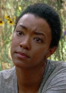 Sasha Williams Season 7 