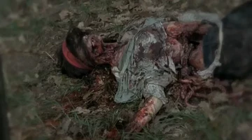 Ellen Ford (TV Series) | Walking Dead Wiki | Fandom