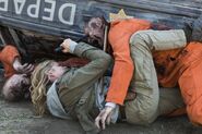 Normal FTWD 305 RF 0224 2816-RT-GN-min