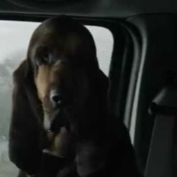 rufus fear walking dead wiki fandom