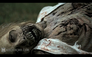 The Walking Dead Webisodes6