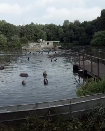 The Walking Dead Houseboat