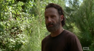 Rick Grimes (75)