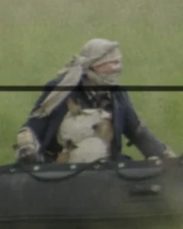 Season eight warbler