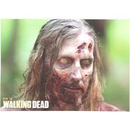 The Walking Dead - Sticker (Season 2) - S13