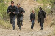 Normal FTWD 311 RF 0509 0331-RT-min