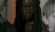 Michonne and the herd