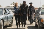 Normal FTWD 310 RF 0502 1252-RT-min