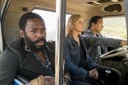 Normal FTWD 311 RF 0511 2543-RT-min