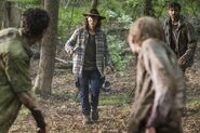 Normal TWD 806 JLD 0619 0687-RT-GN-min