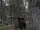 Père Lachaise Cemetery