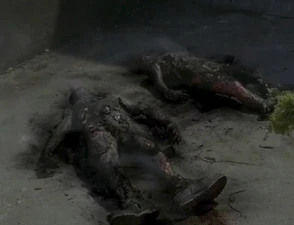 Сожжённые трупы Карен и Дэвида