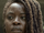 Michonne Hawthorne (TV Series)