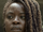 Michonne Grimes (Uniwersum TV)