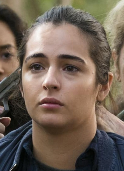 Tara Chambler TV Series Walking Dead Wiki Fandom