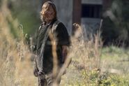 11x04 Daryl