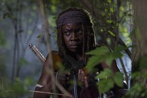 TWD 808 GP 0727 0091-RT.jpg