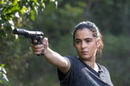 811 Tara Chambler